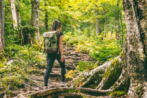5 Roteiros de Trilhas Fáceis para Começar na Aventura com Segurança